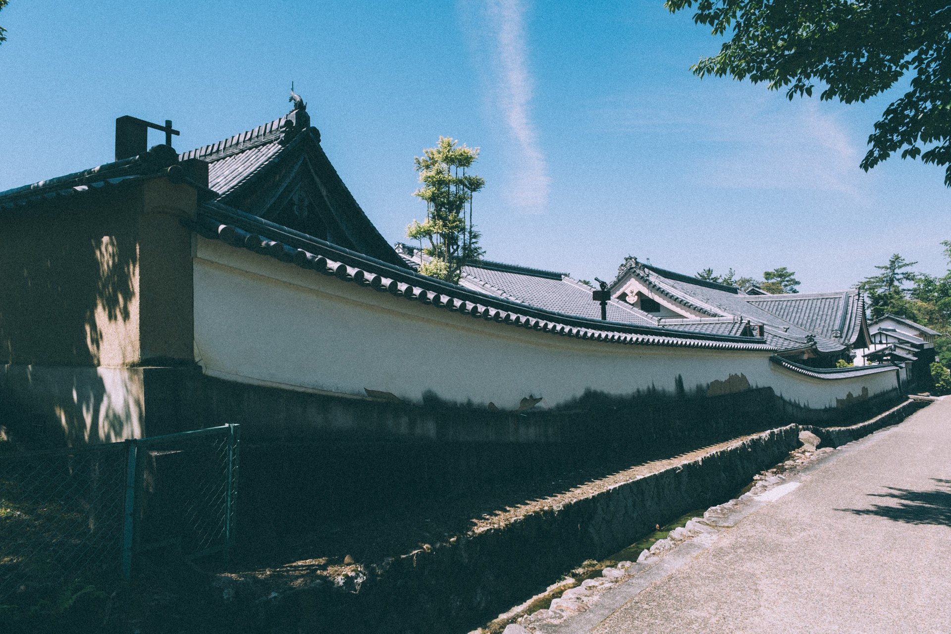DSCF0421.jpg
