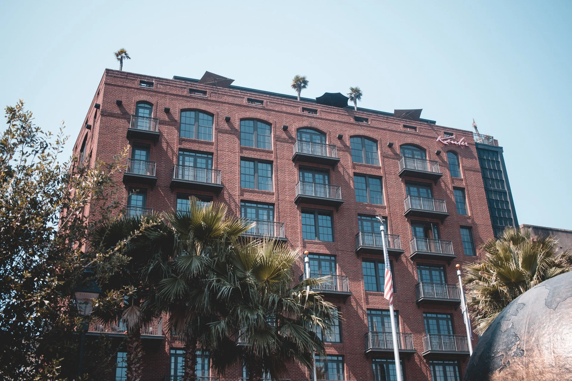 savannah-481.jpg