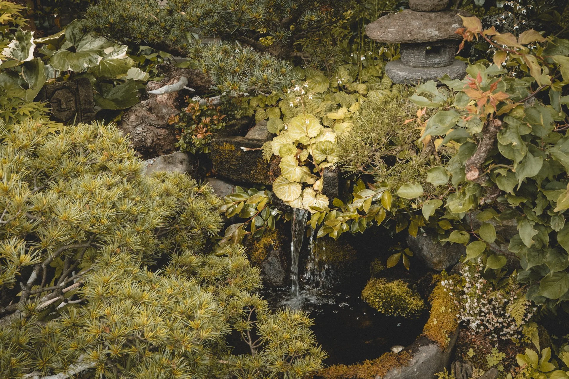 DSCF8366.jpg