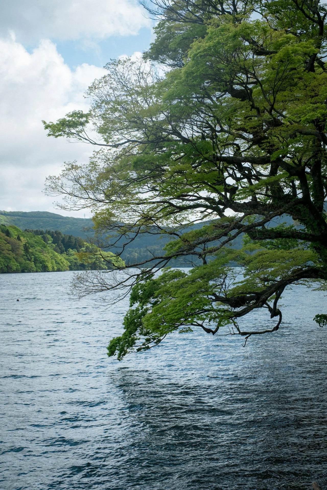 DSCF9207.jpg