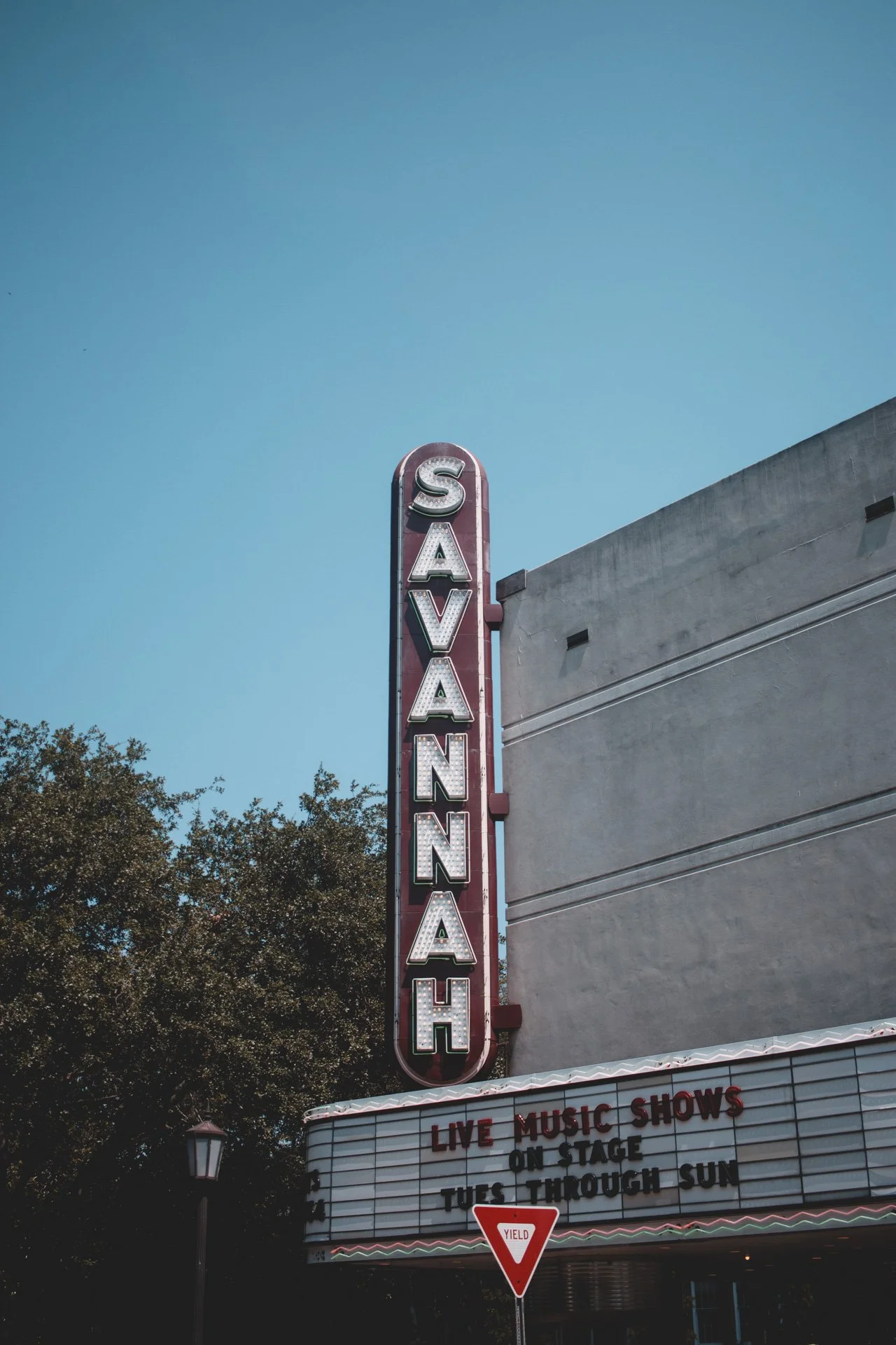 savannah-488.jpg