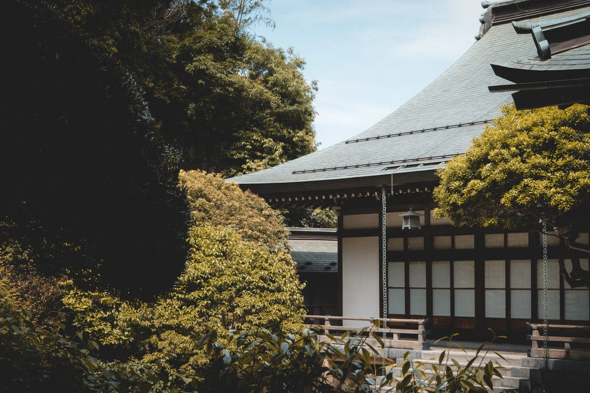 DSCF8586.jpg