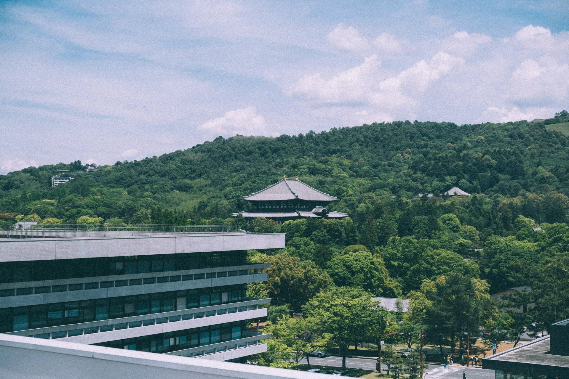 DSCF0512.jpg
