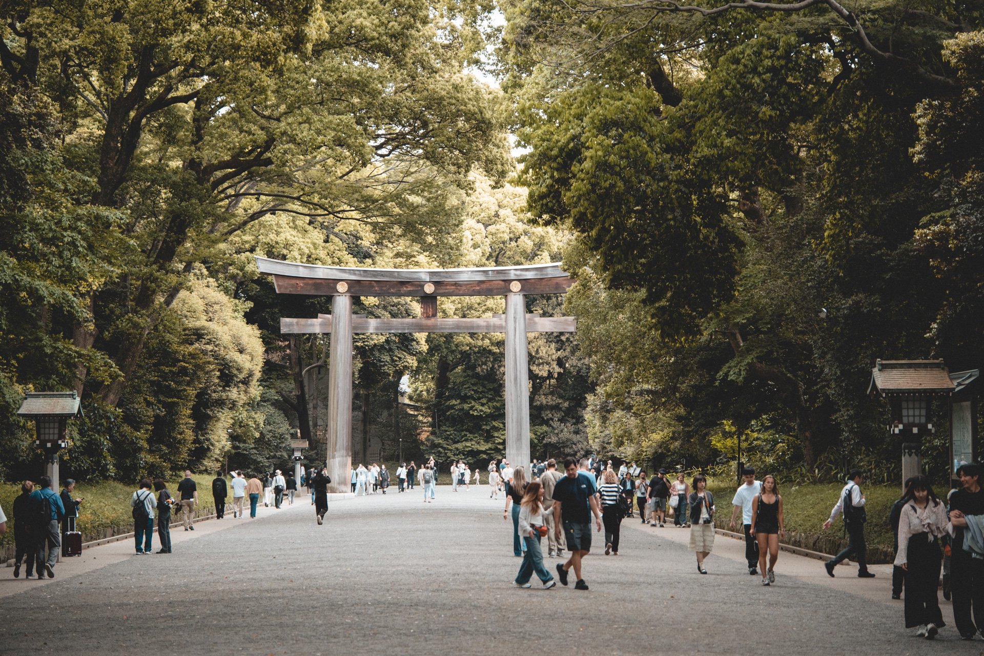 DSCF7055.jpg