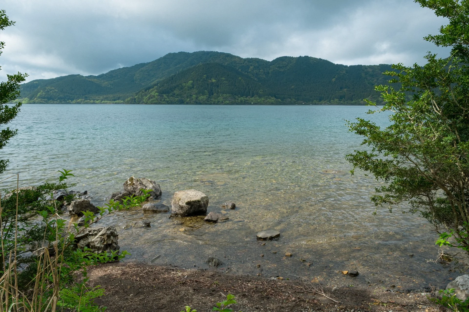 DSCF8956.jpg