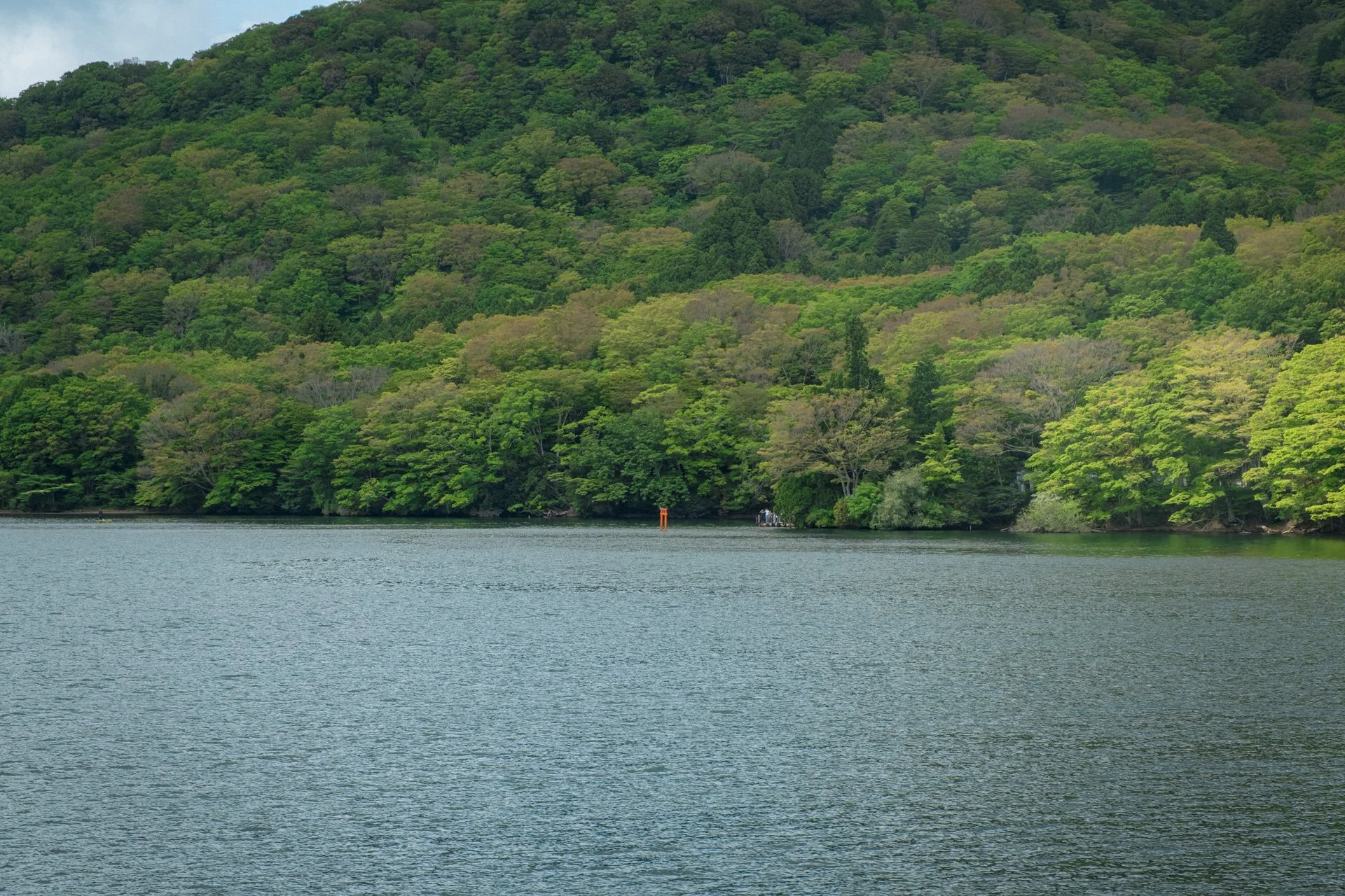 DSCF9334.jpg