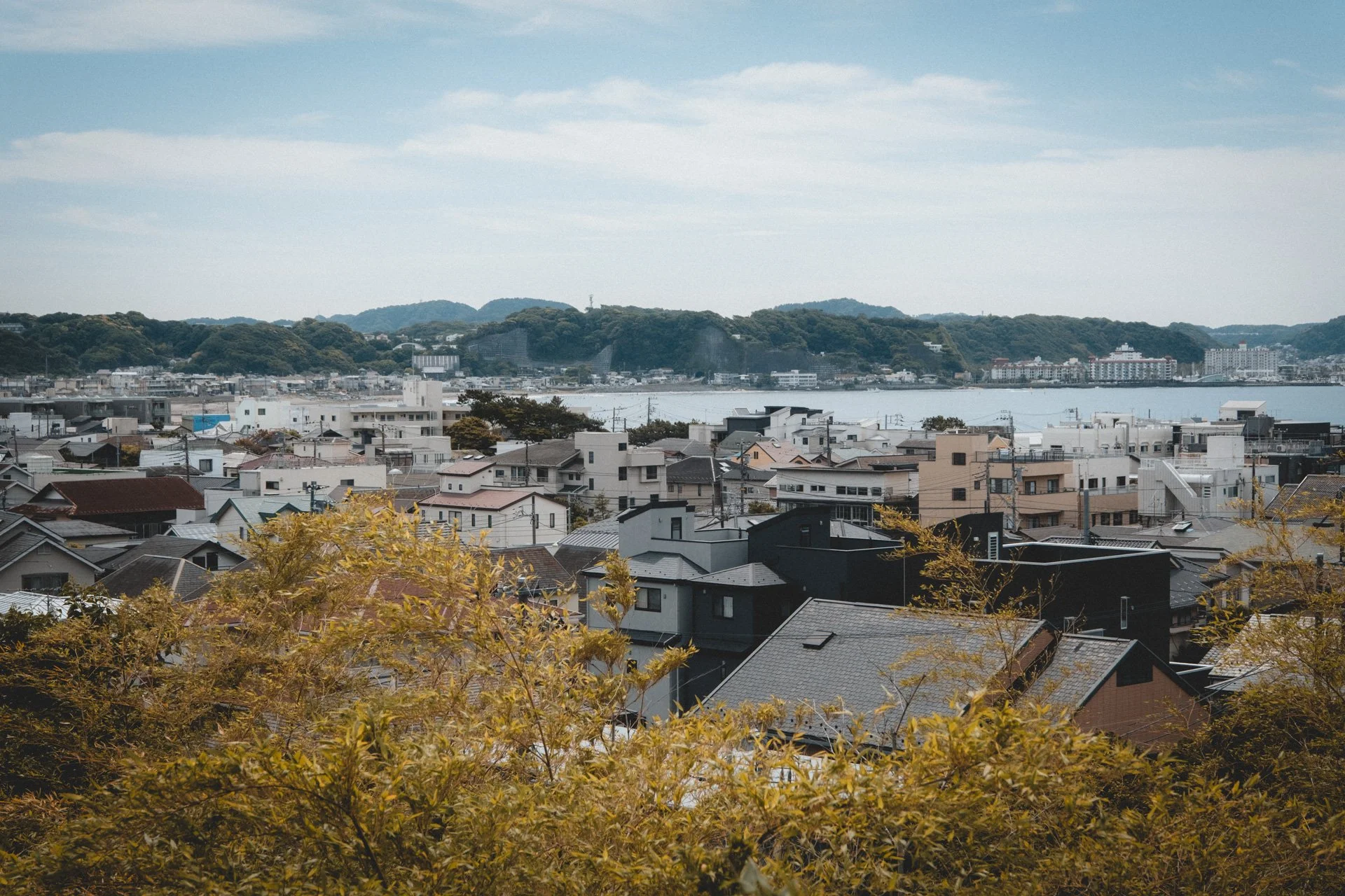 DSCF8358.jpg