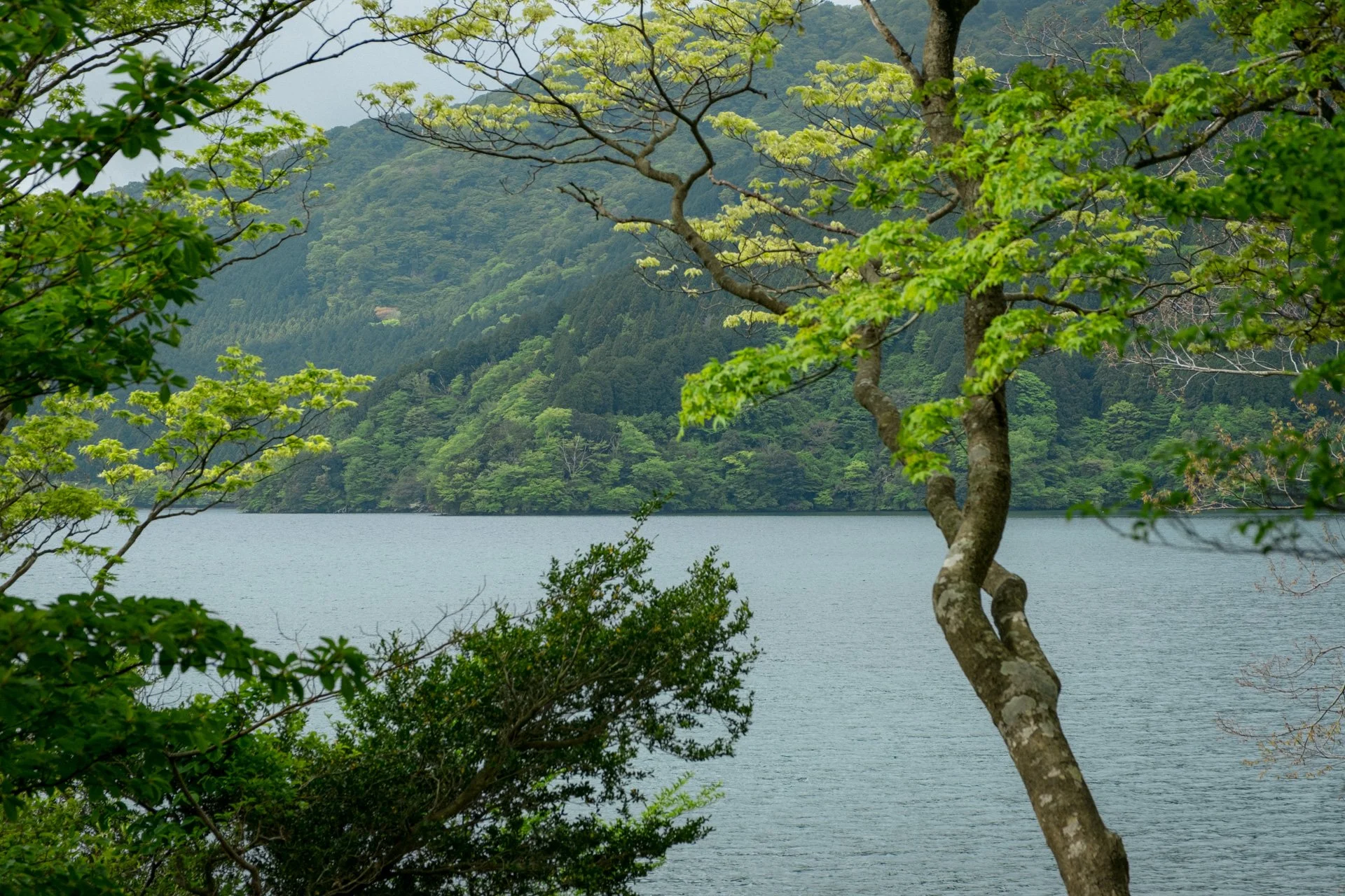 DSCF8951.jpg
