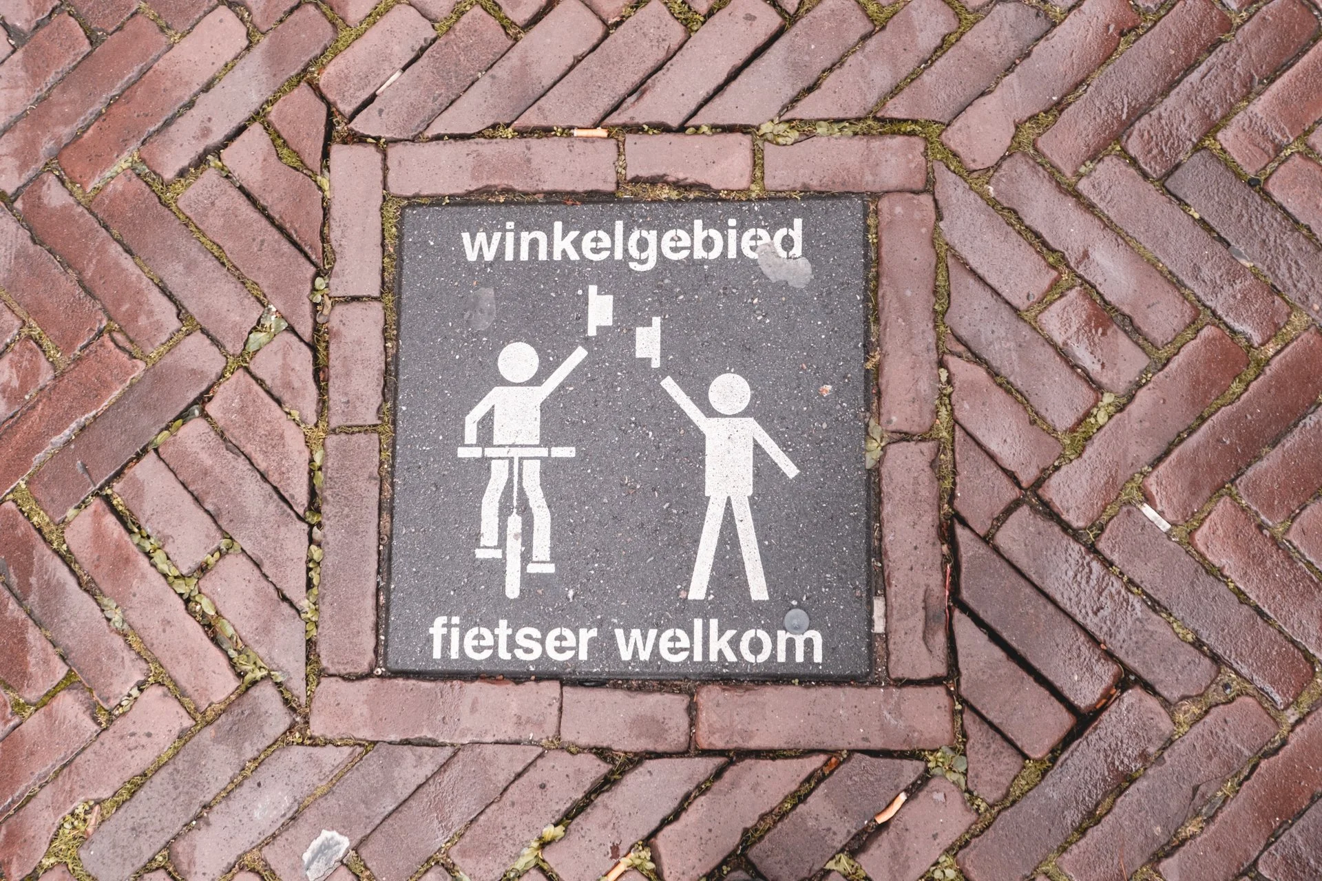 DSCF4047.jpg