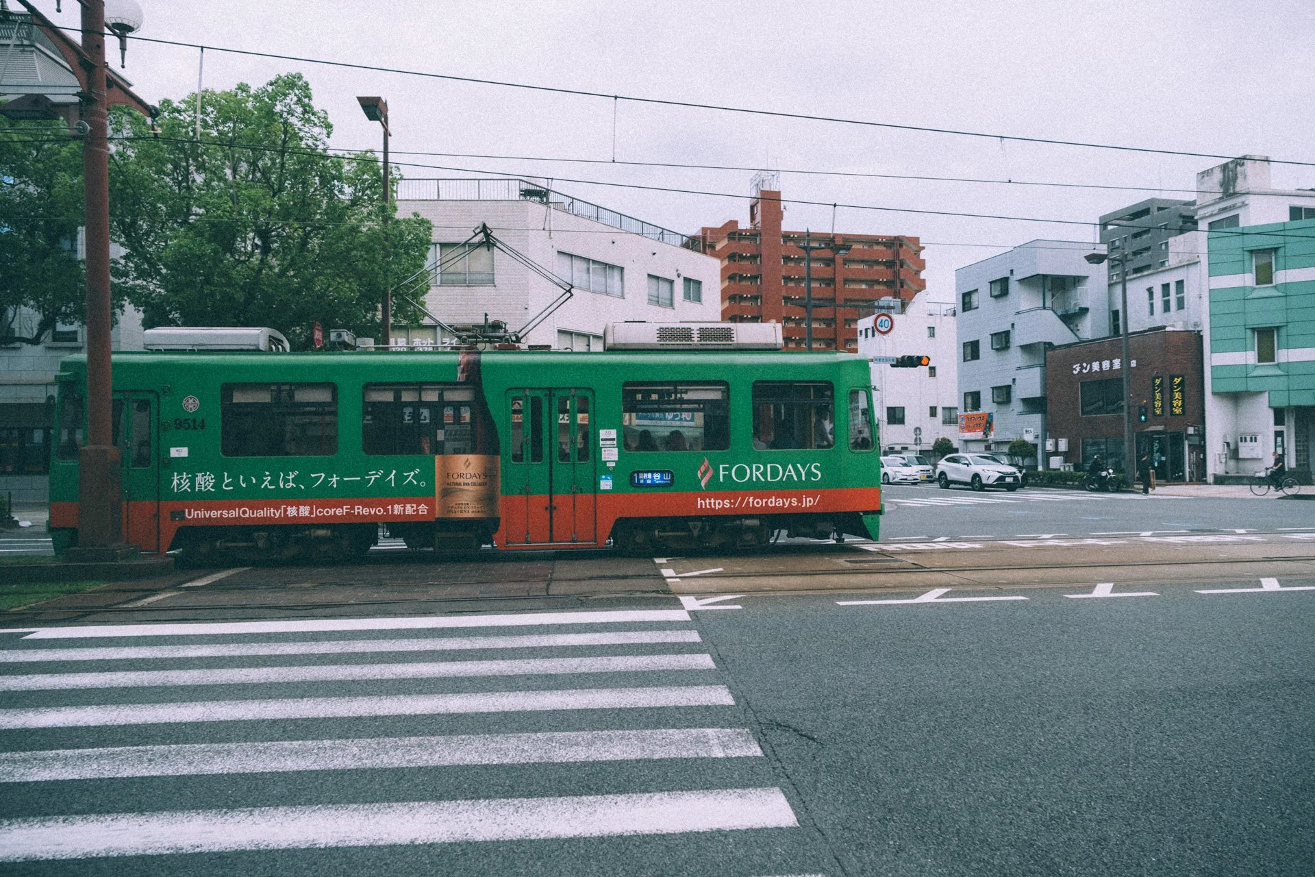 DSCF3315.jpg
