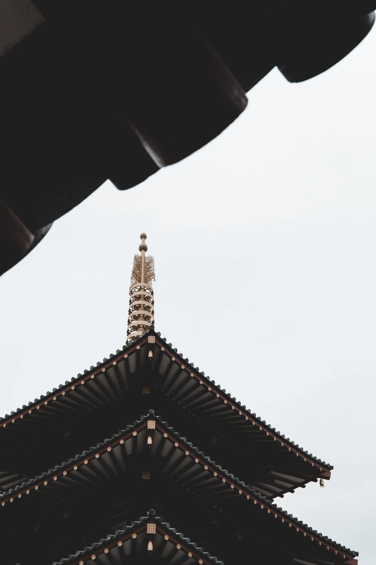 DSCF4432.jpg