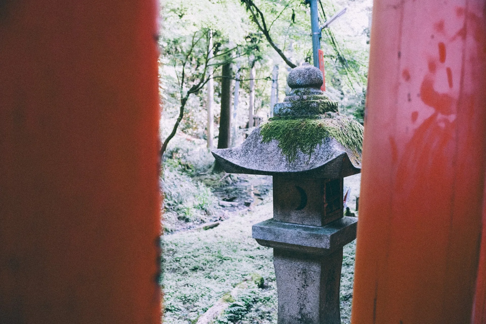 DSCF9947.jpg