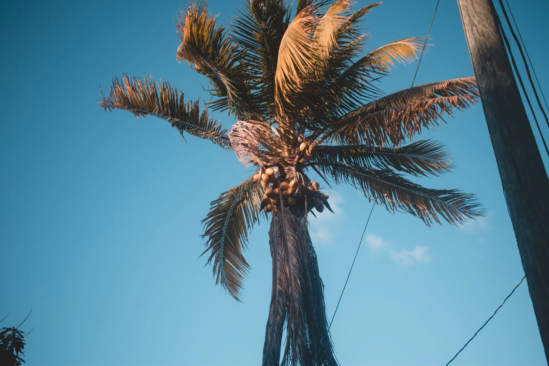 miami-232.jpg