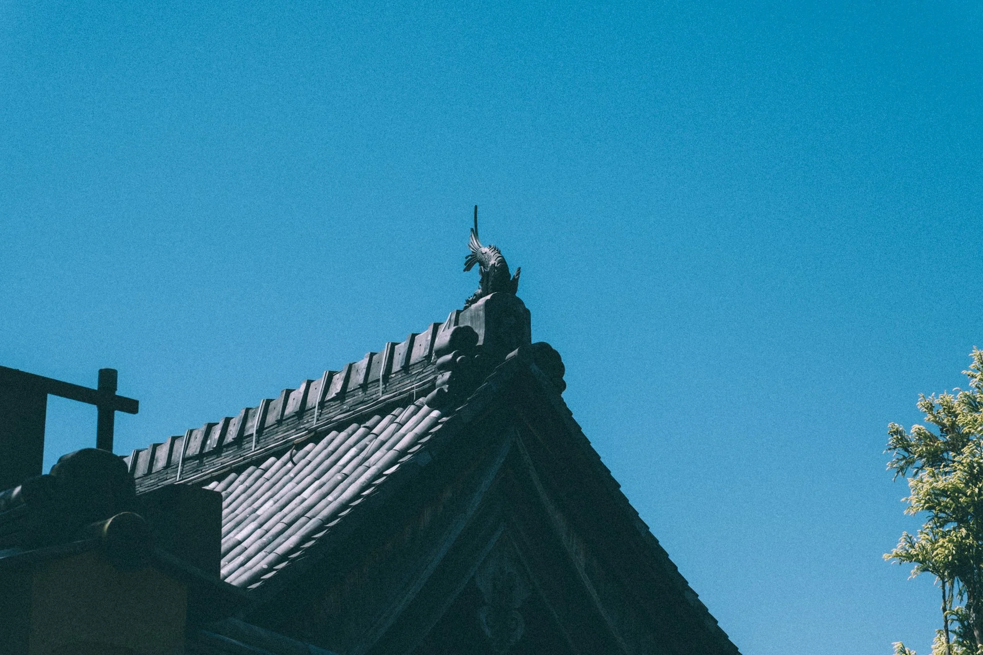 DSCF0419.jpg