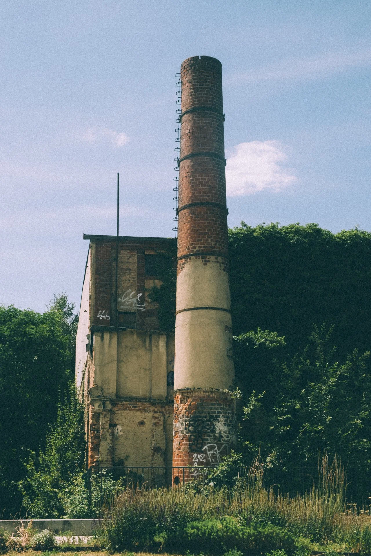 DSCF0413.jpg