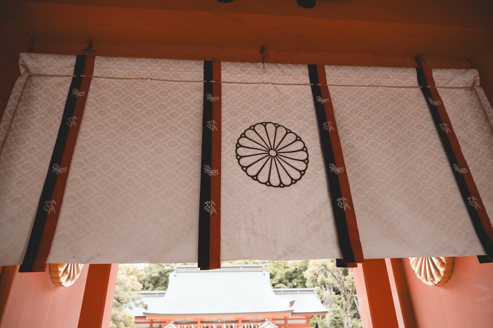 DSCF2245.jpg