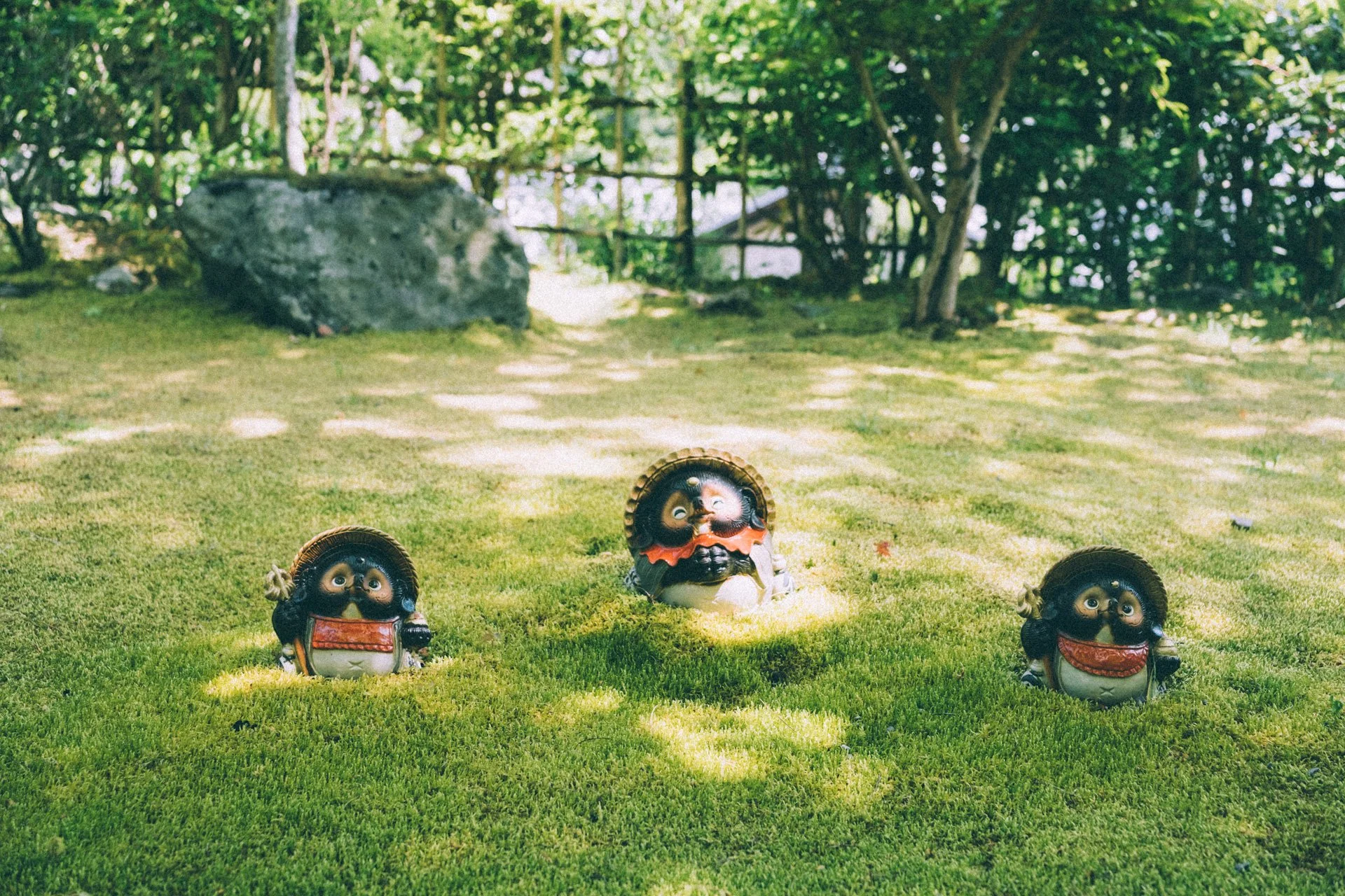 DSCF0821.jpg