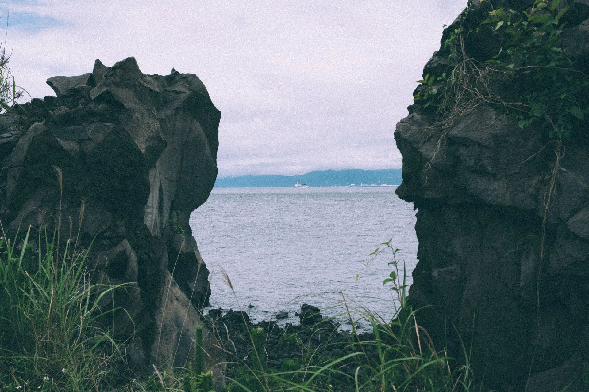 DSCF3537.jpg