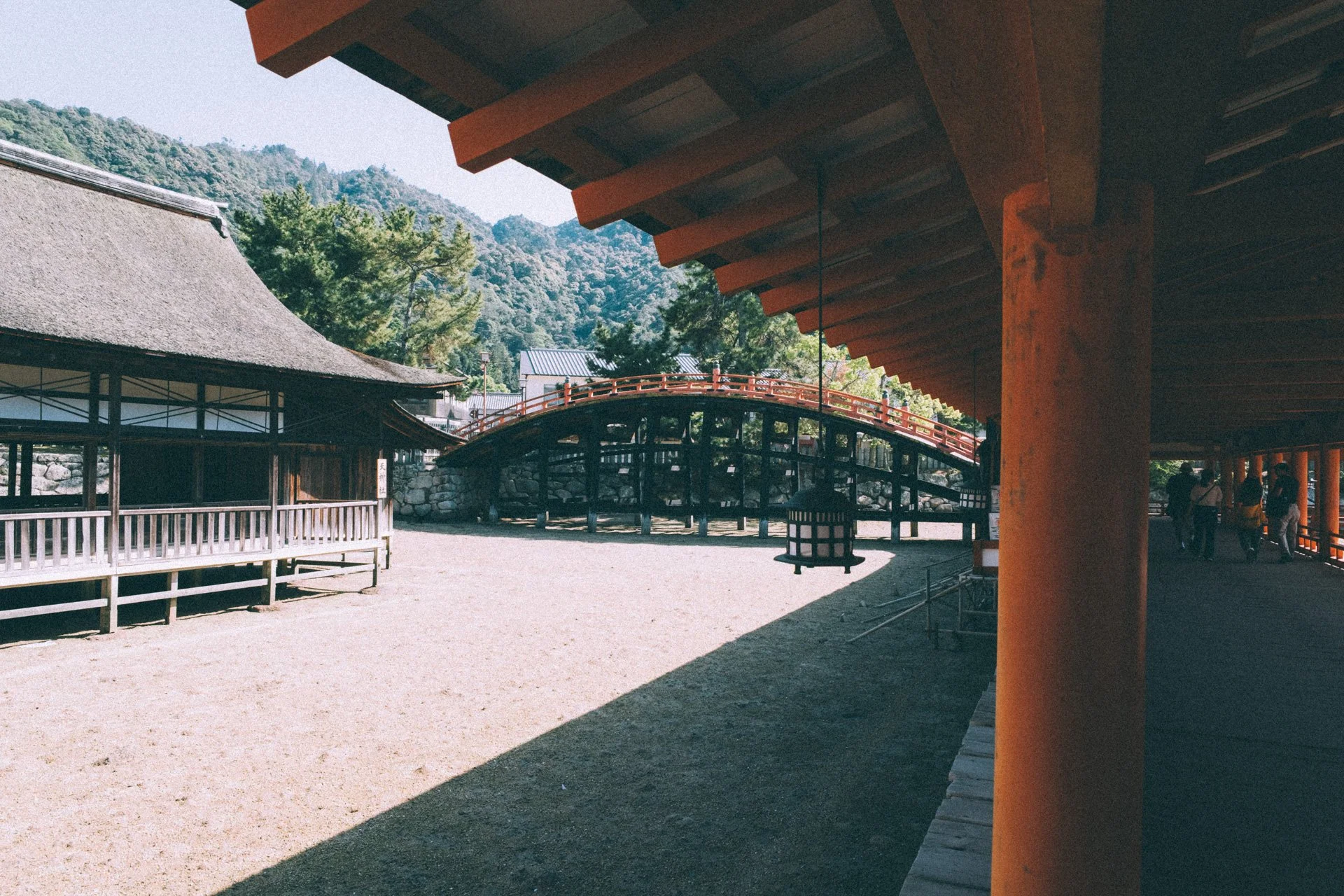 DSCF1861.jpg