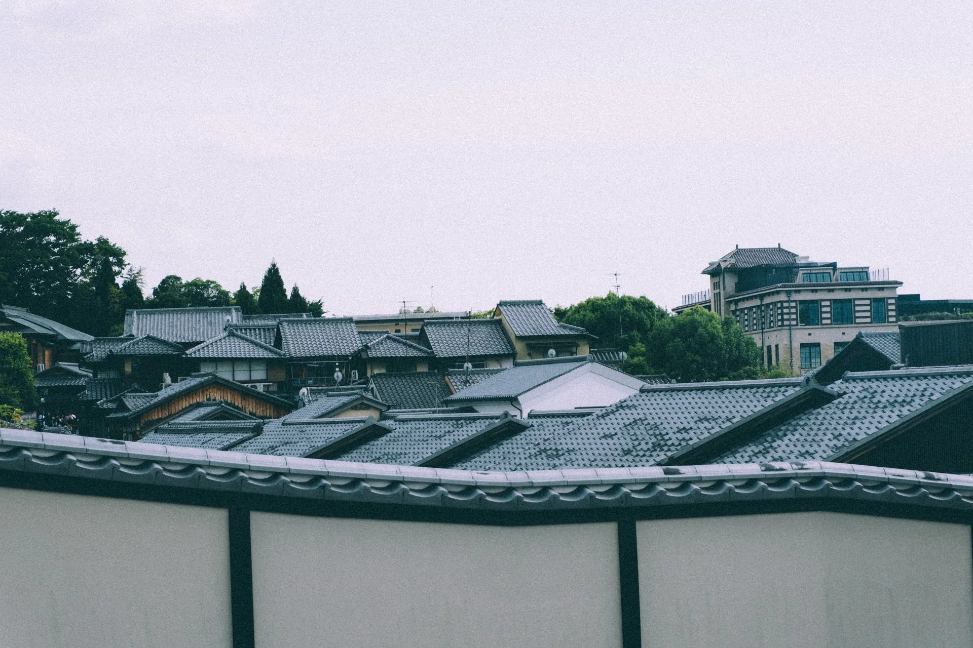 DSCF9615.jpg