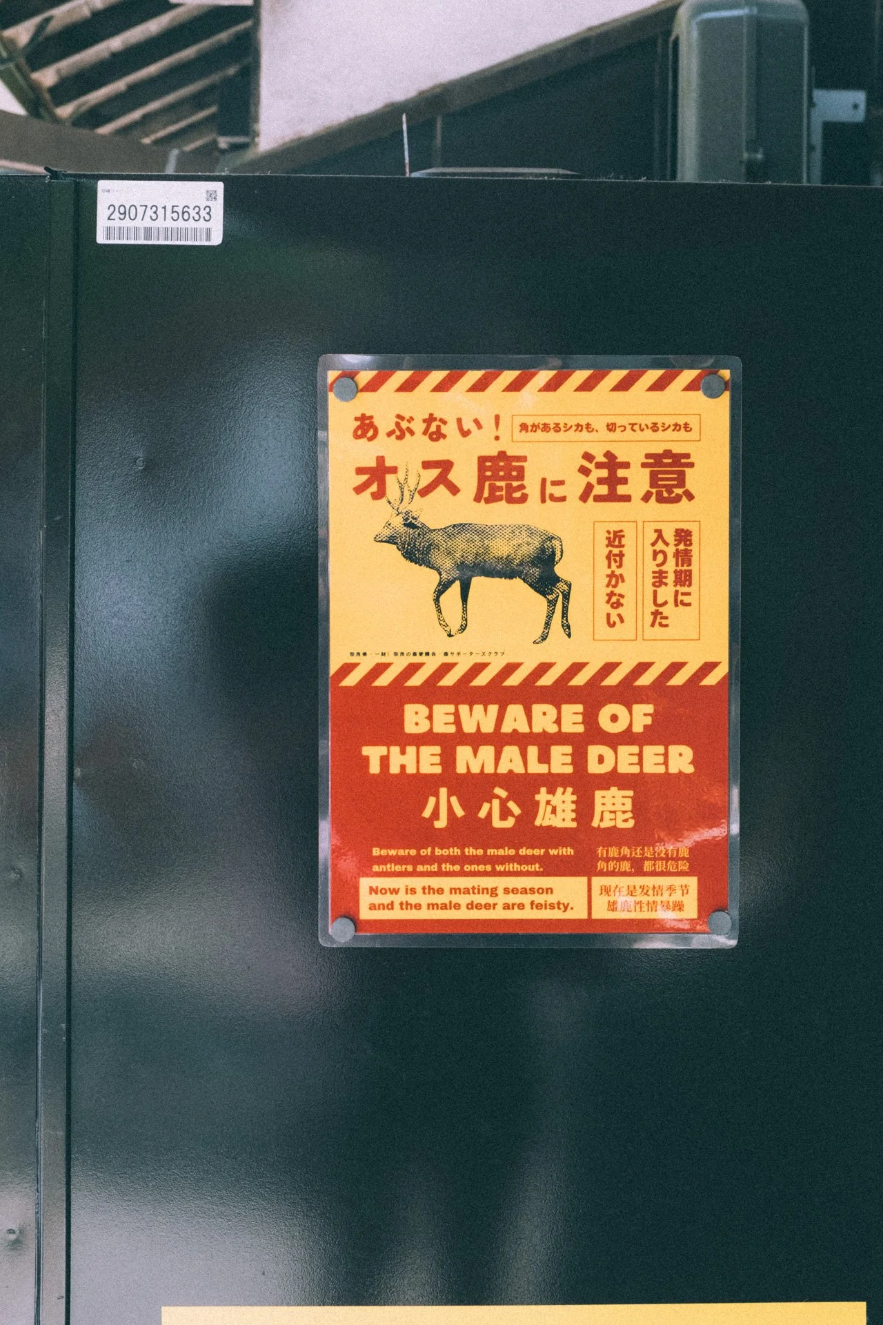 DSCF0506.jpg