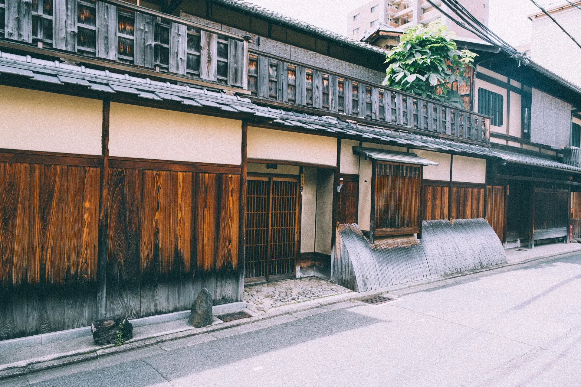DSCF9487.jpg