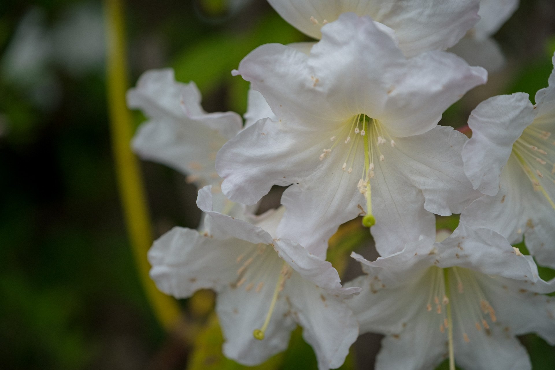DSCF8831.jpg
