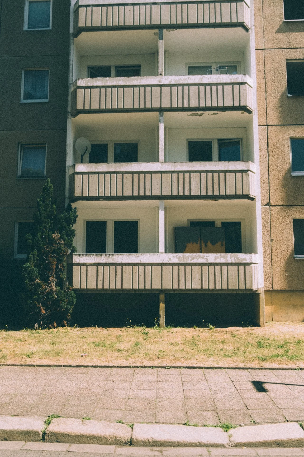 DSCF0331.jpg