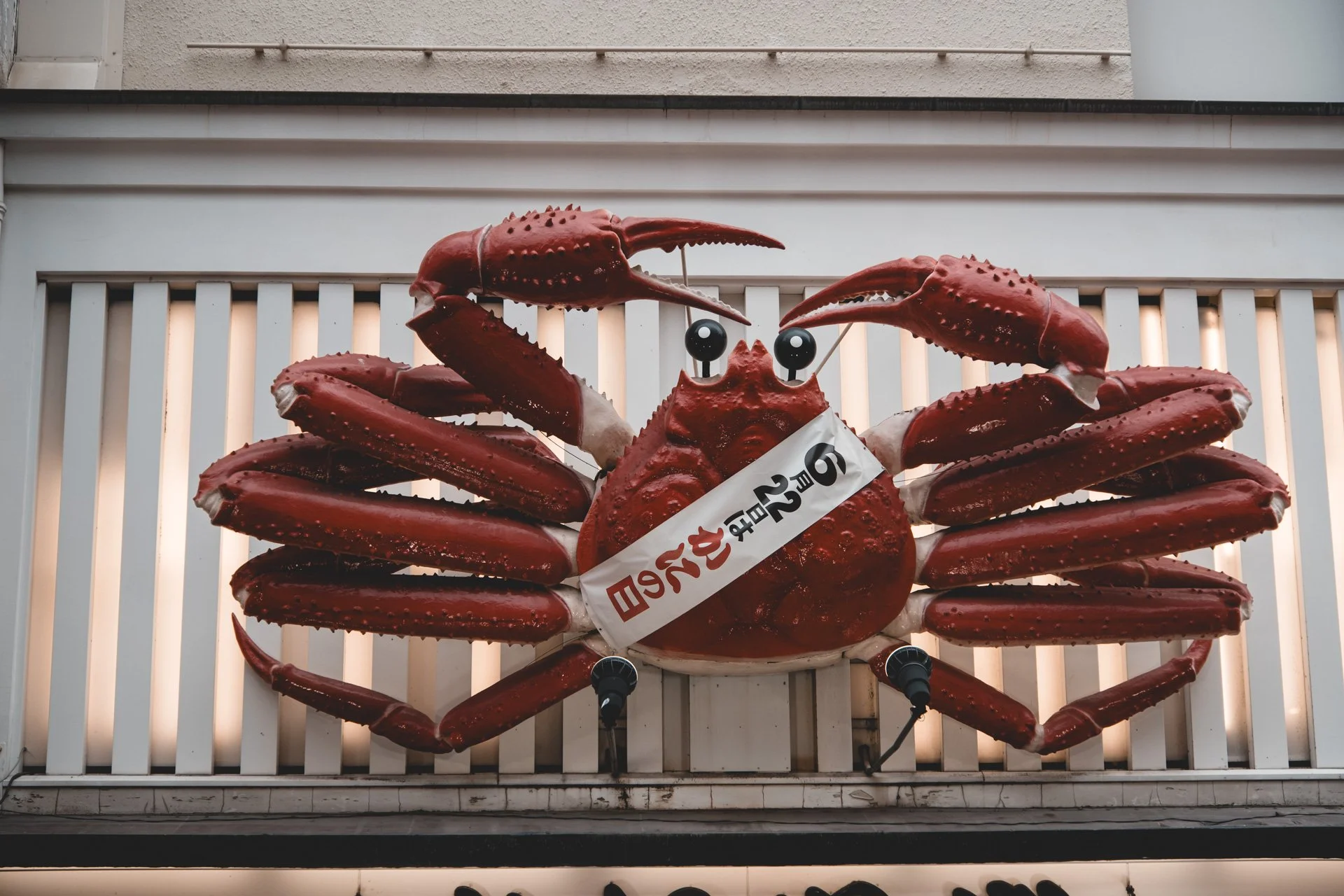DSCF4596.jpg