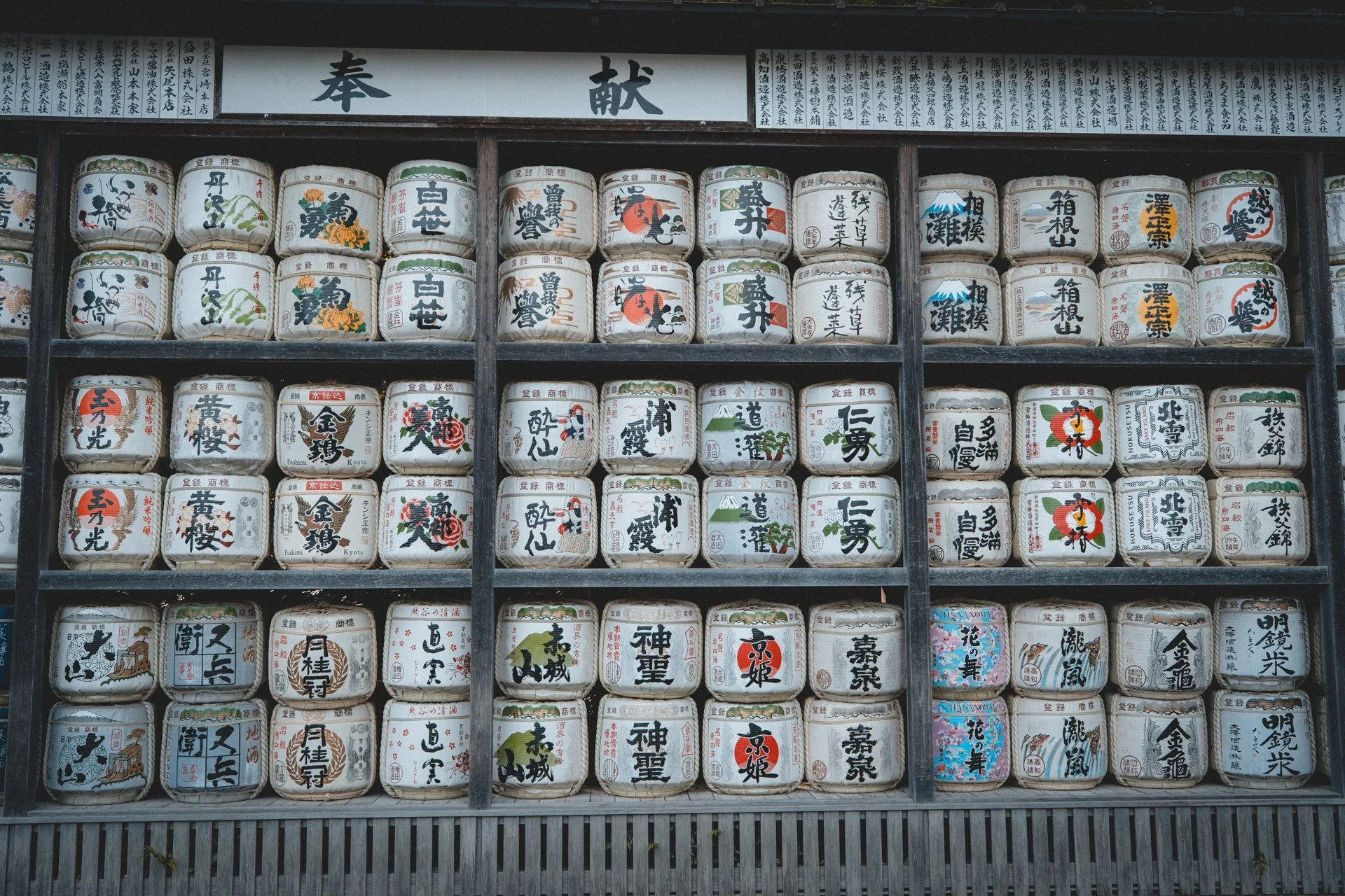DSCF8766.jpg