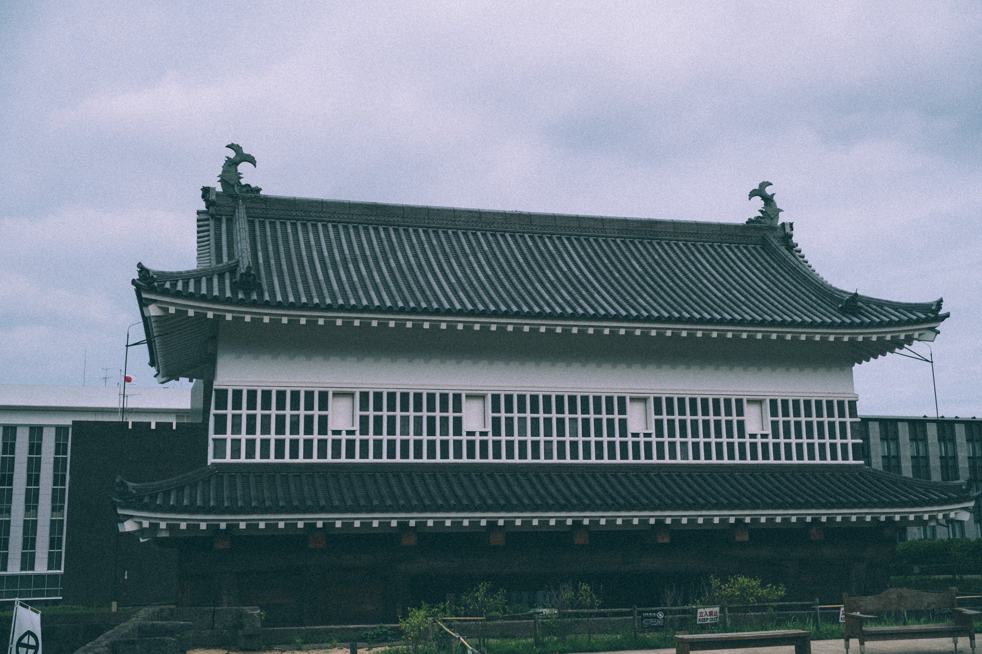 DSCF3284.jpg