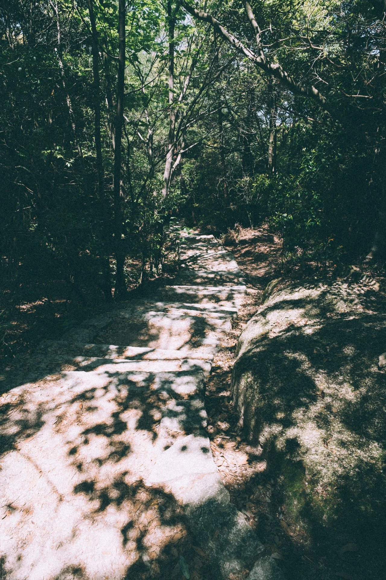 DSCF1676.jpg