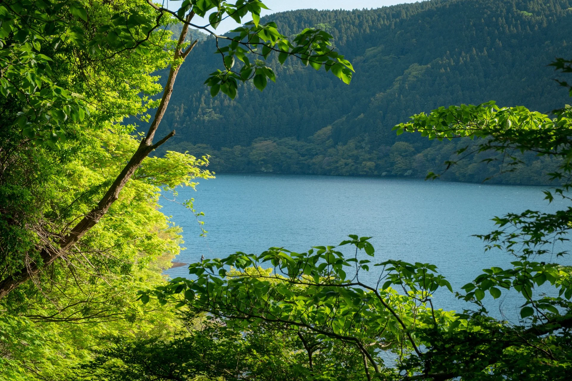 DSCF8878.jpg