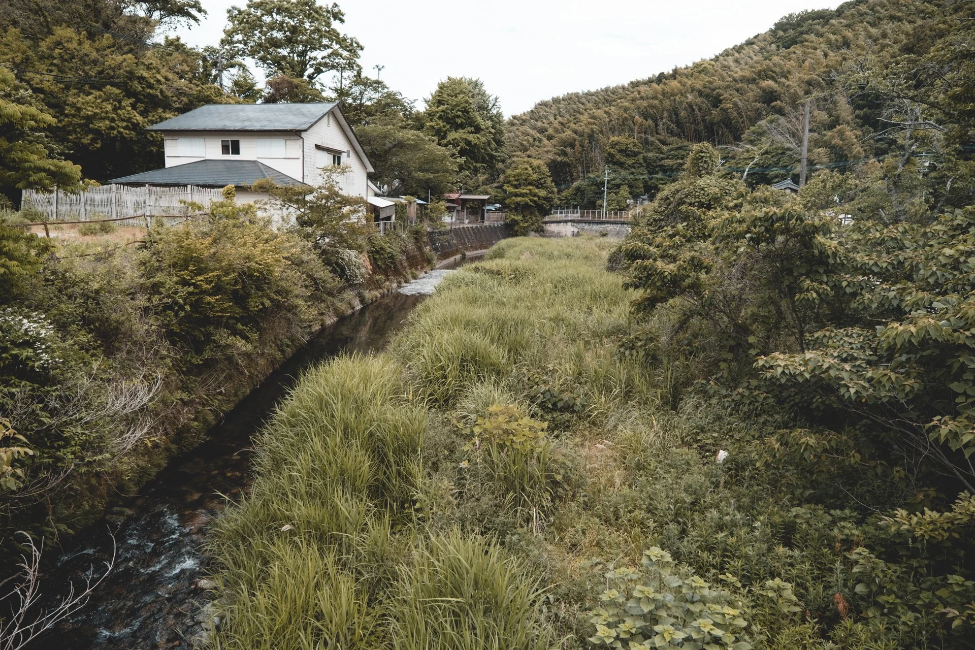 DSCF2125.jpg
