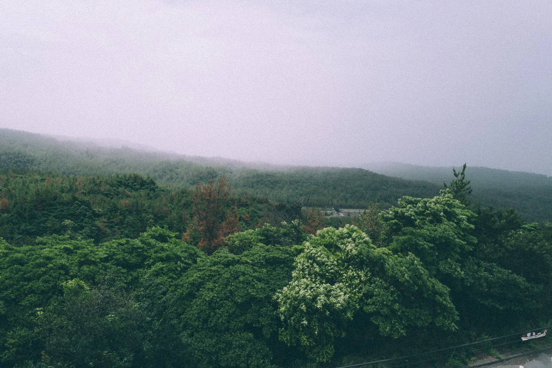 DSCF3612.jpg