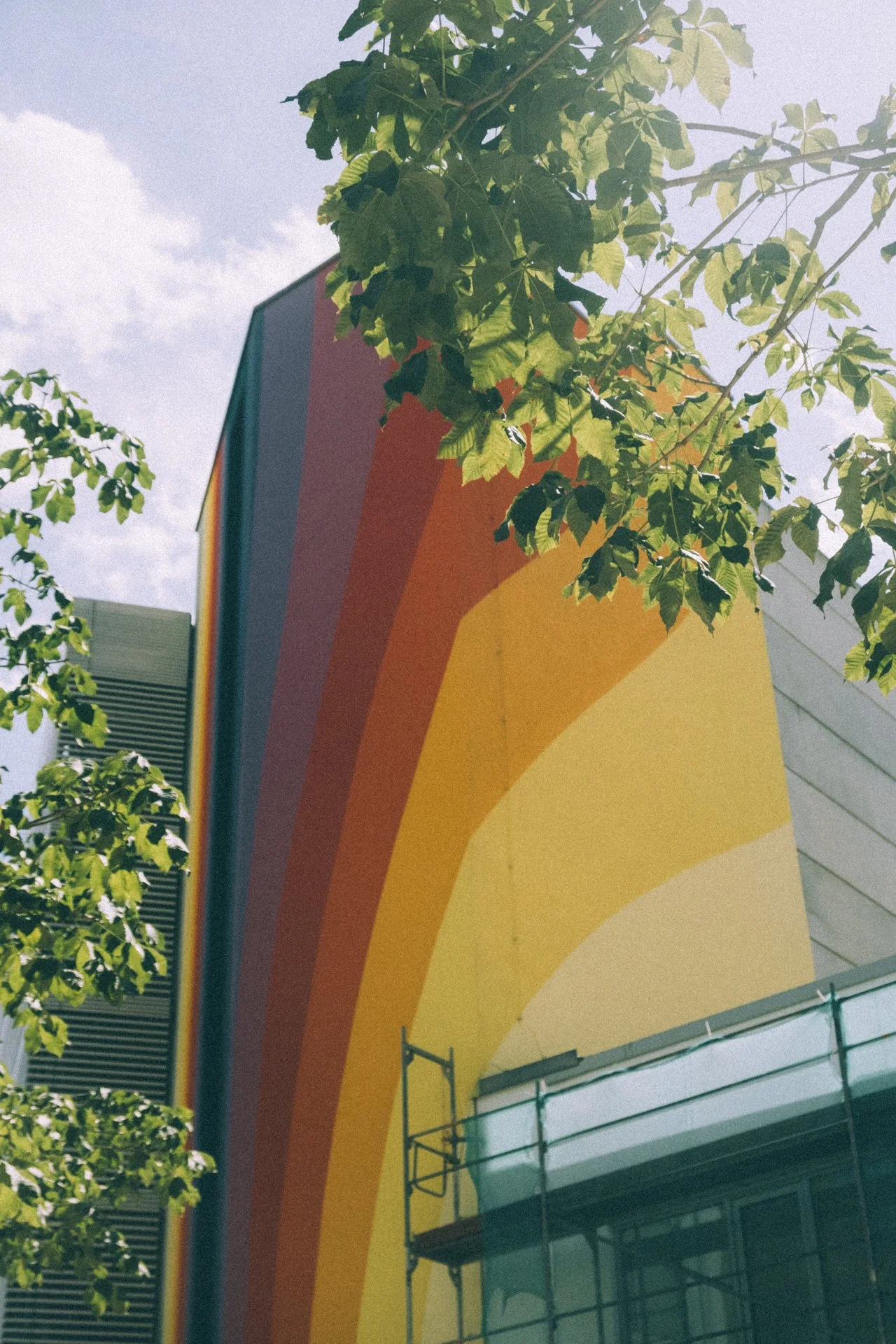 DSCF0431.jpg