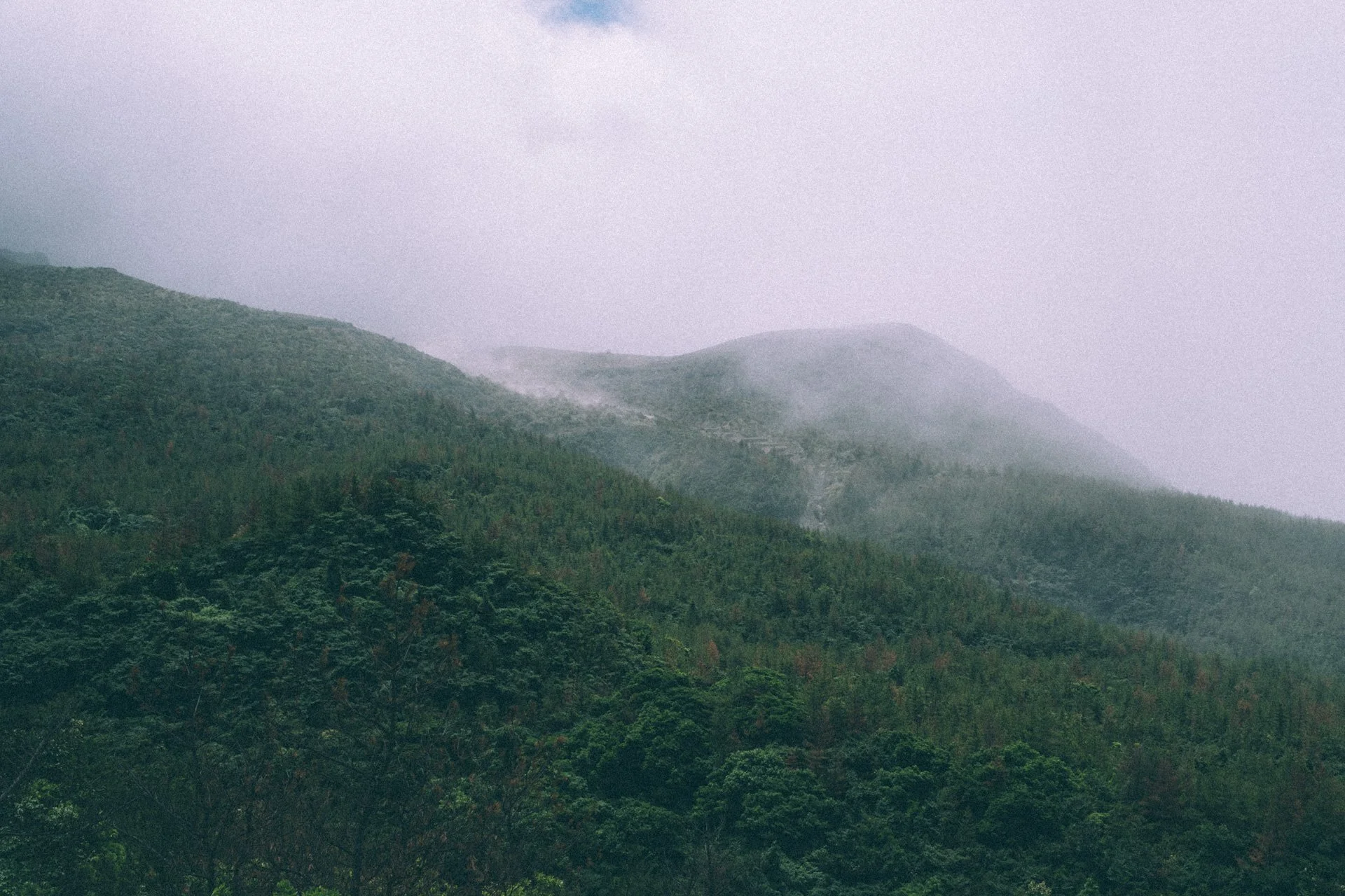 DSCF3615.jpg