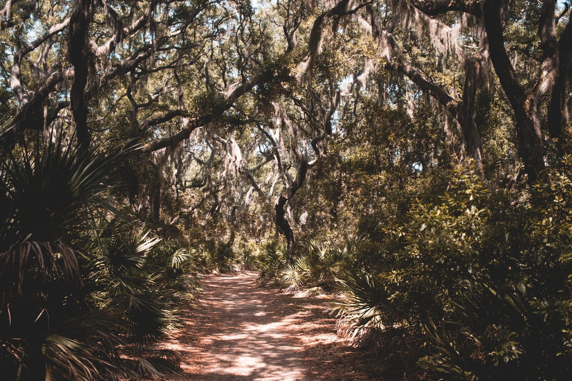 cumberland-160.jpg
