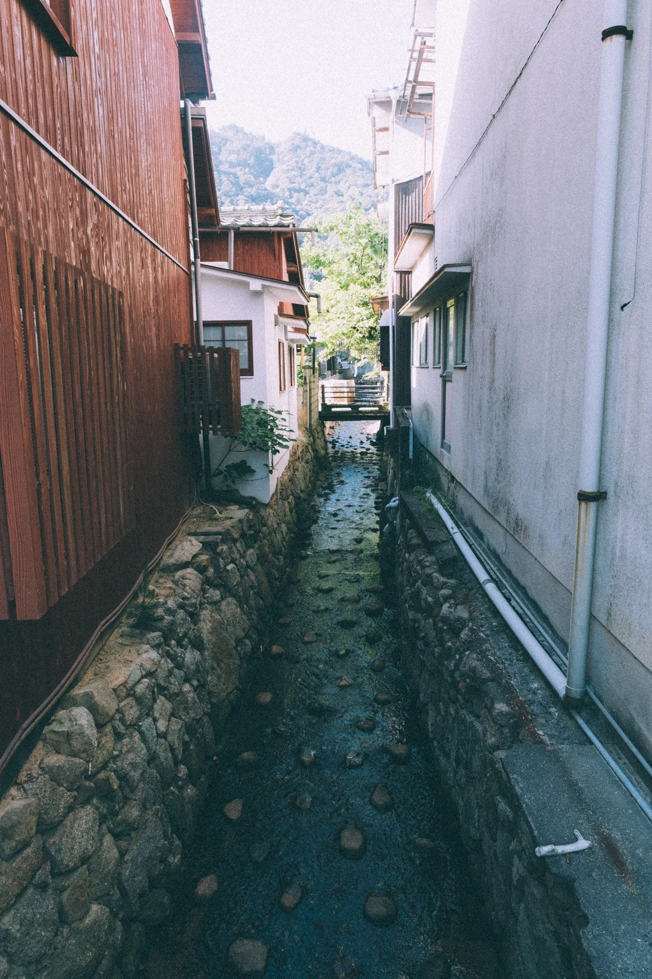 DSCF1998.jpg