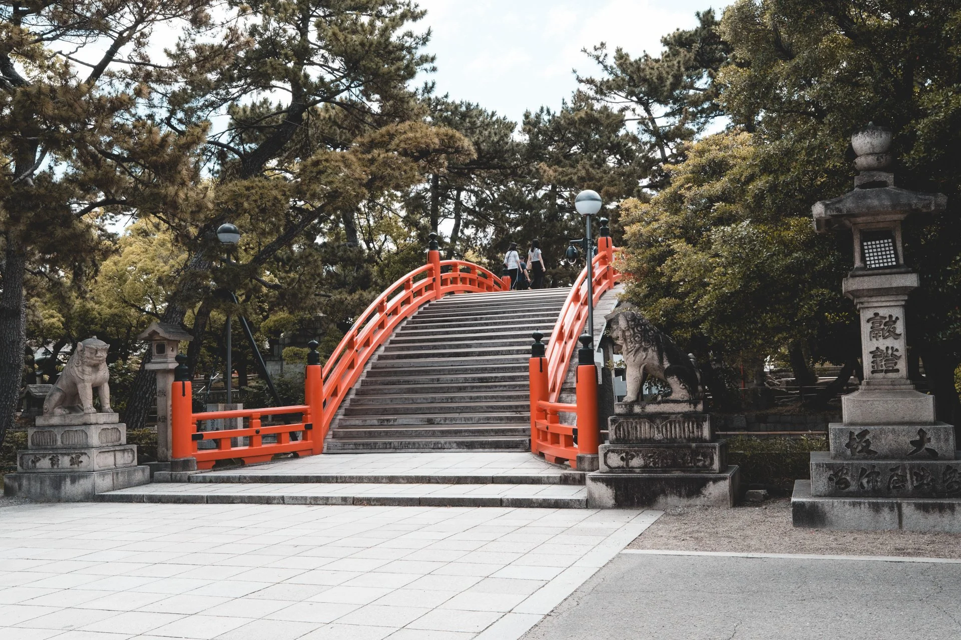 DSCF4645.jpg