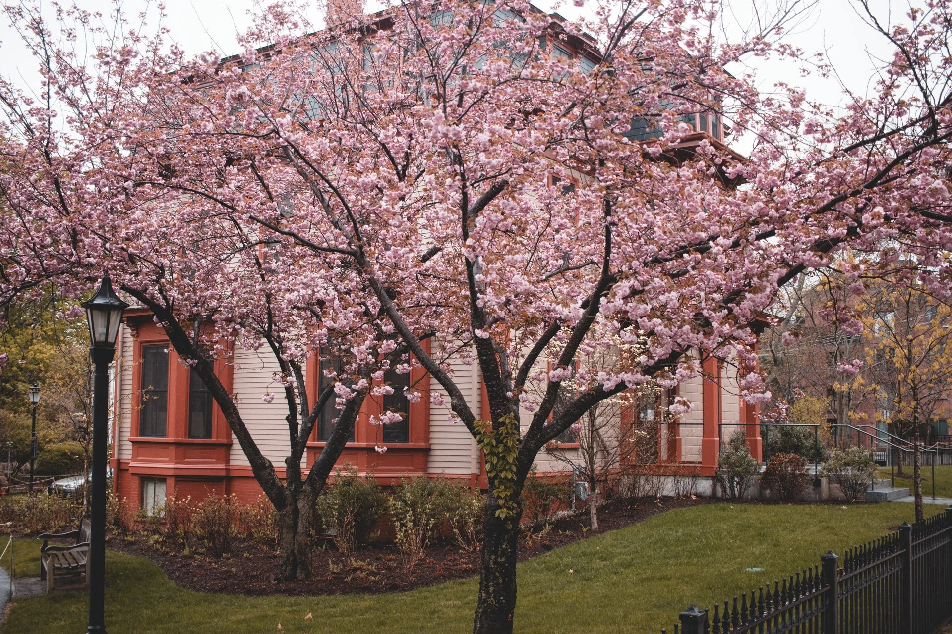 Boston-05.jpg