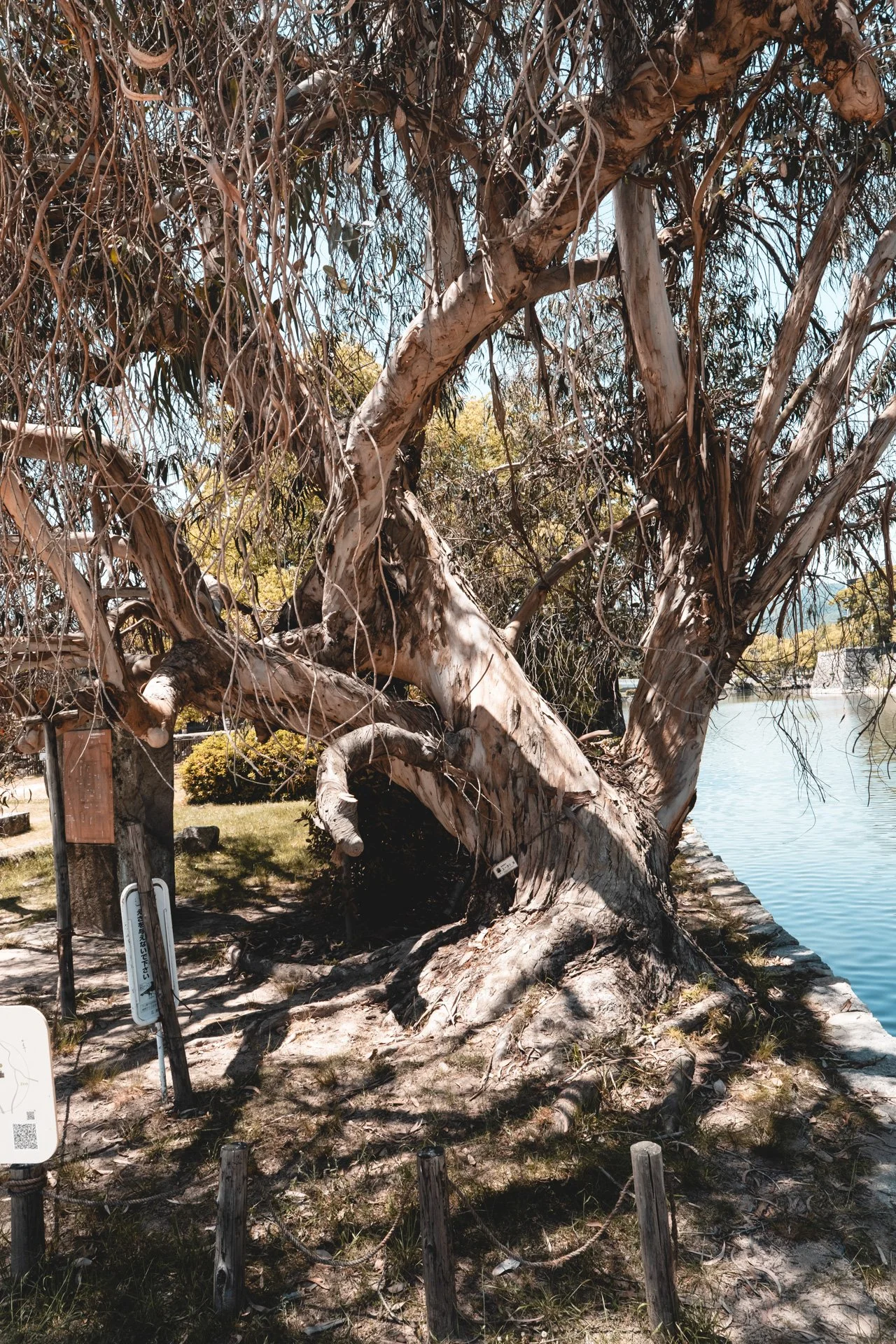 DSCF1226.jpg