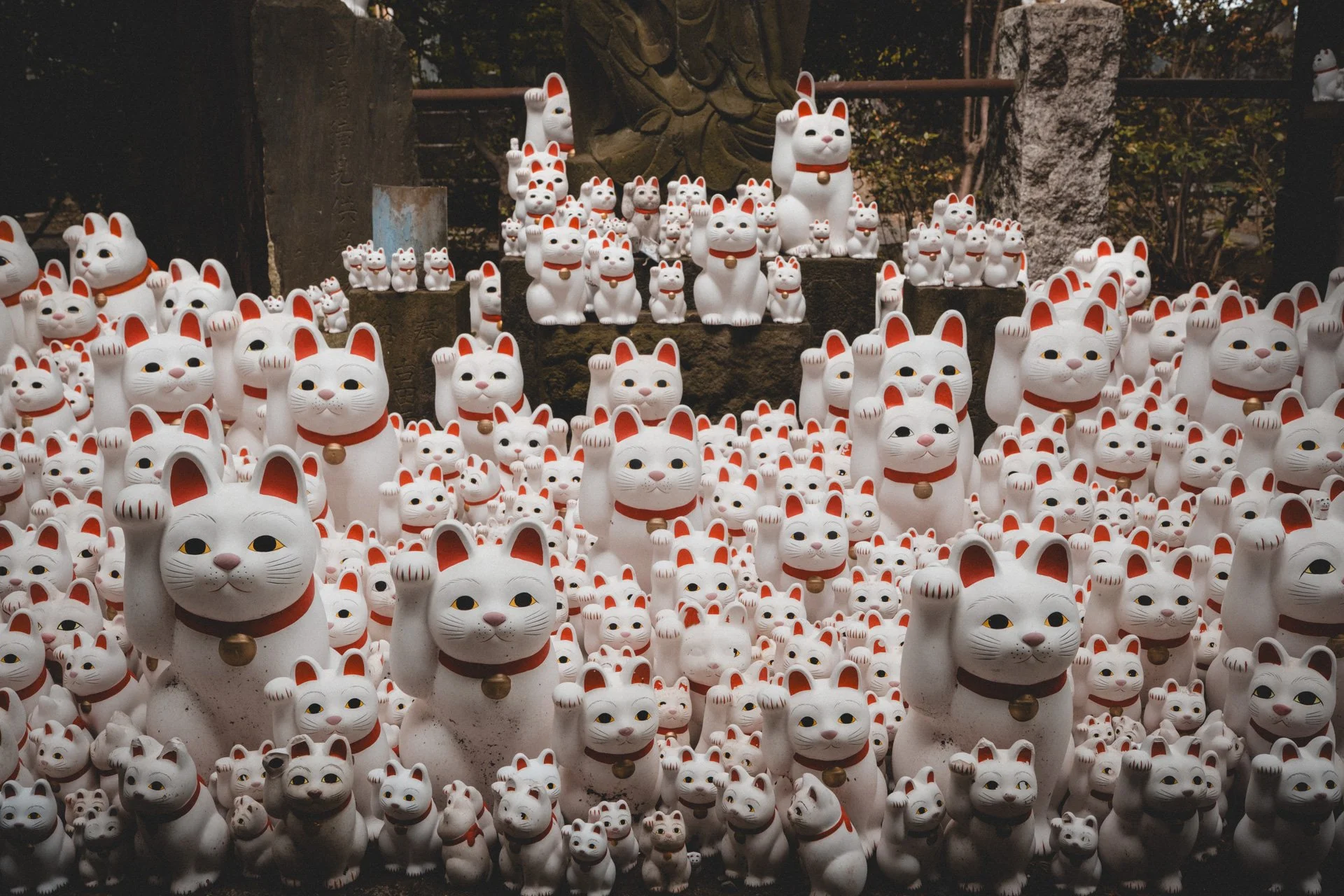 DSCF7980.jpg