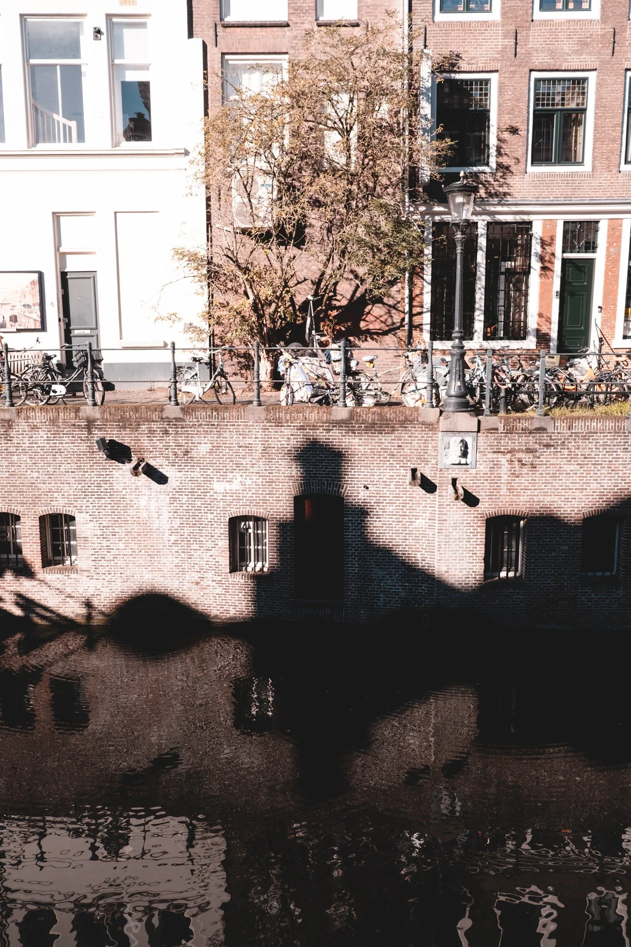 DSCF4651.jpg