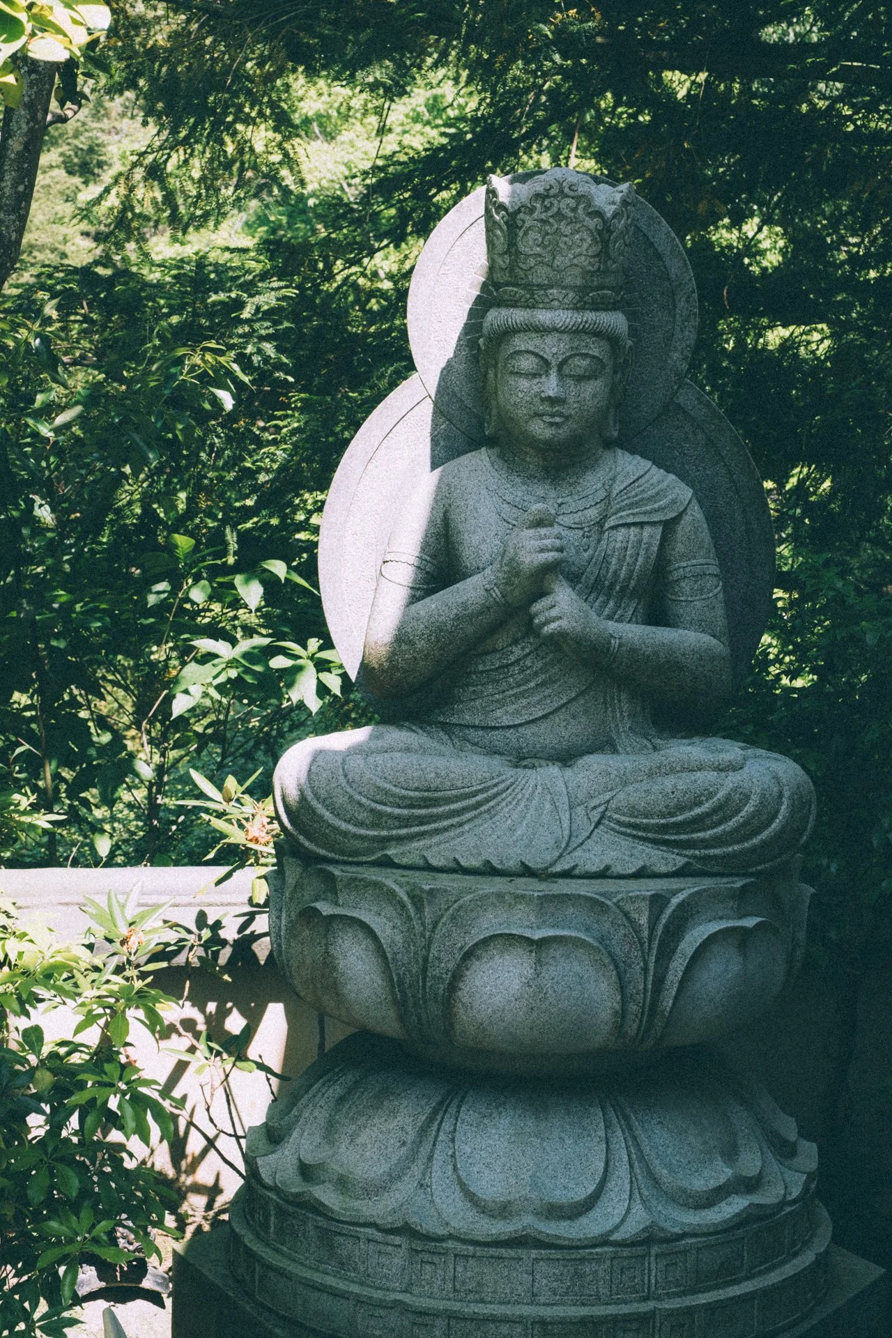 DSCF1715.jpg
