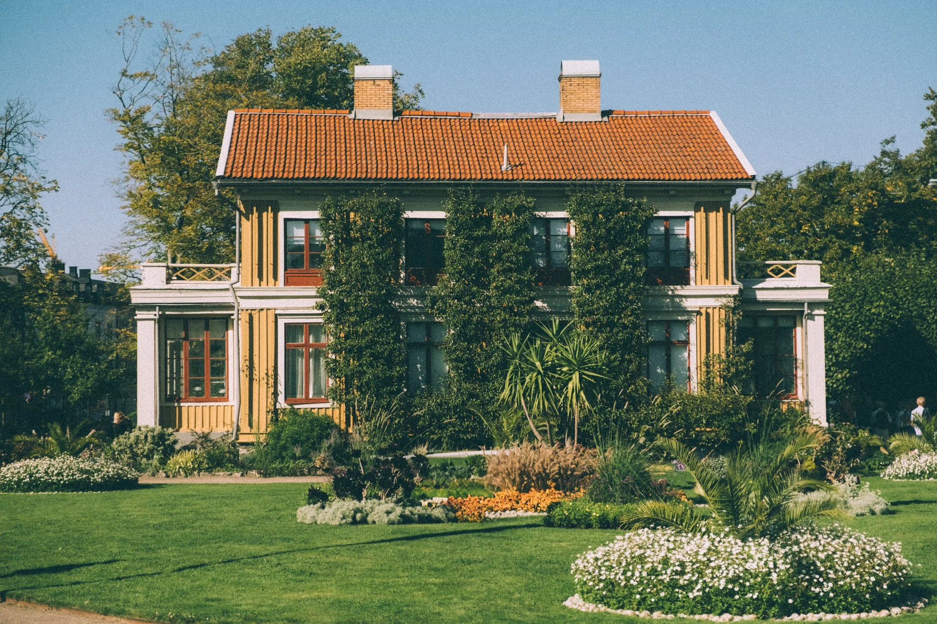 DSCF5800.jpg