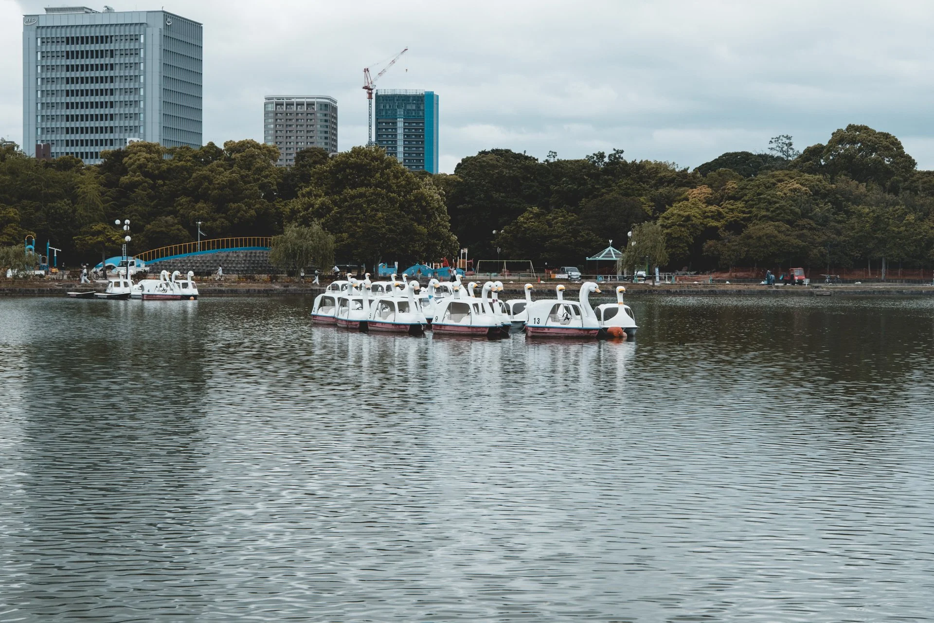 DSCF2334.jpg