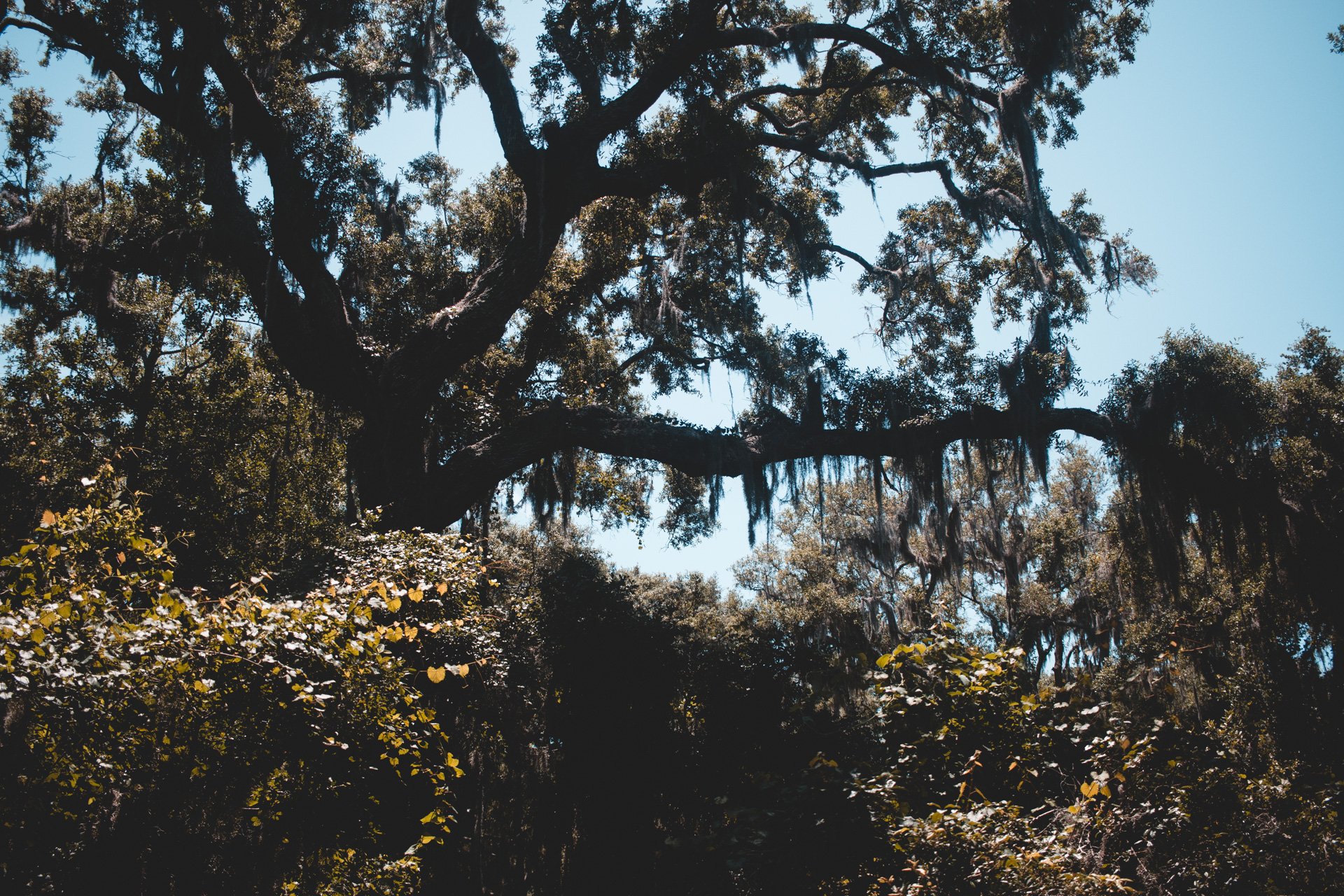cumberland-140.jpg
