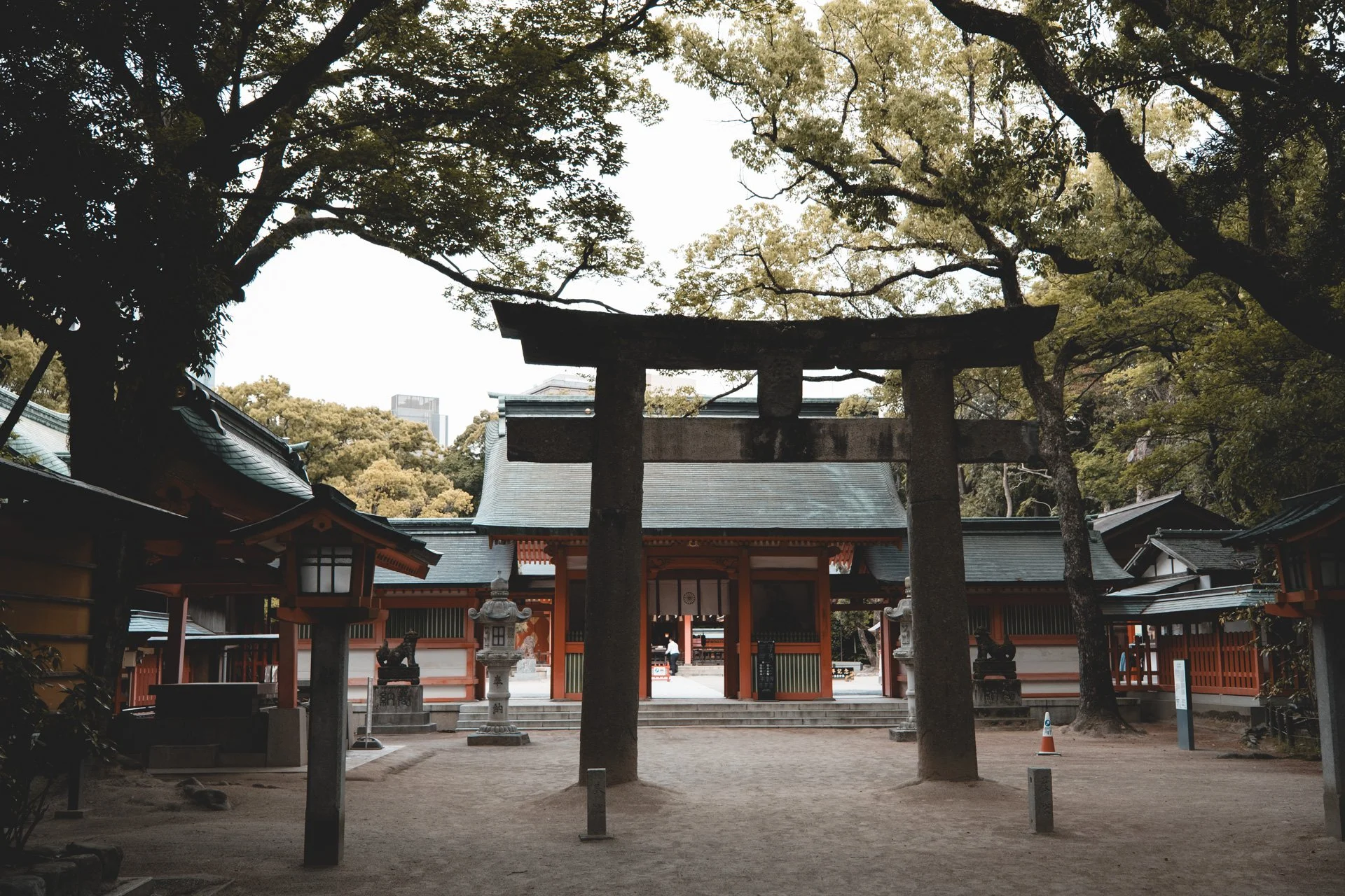 DSCF2248.jpg