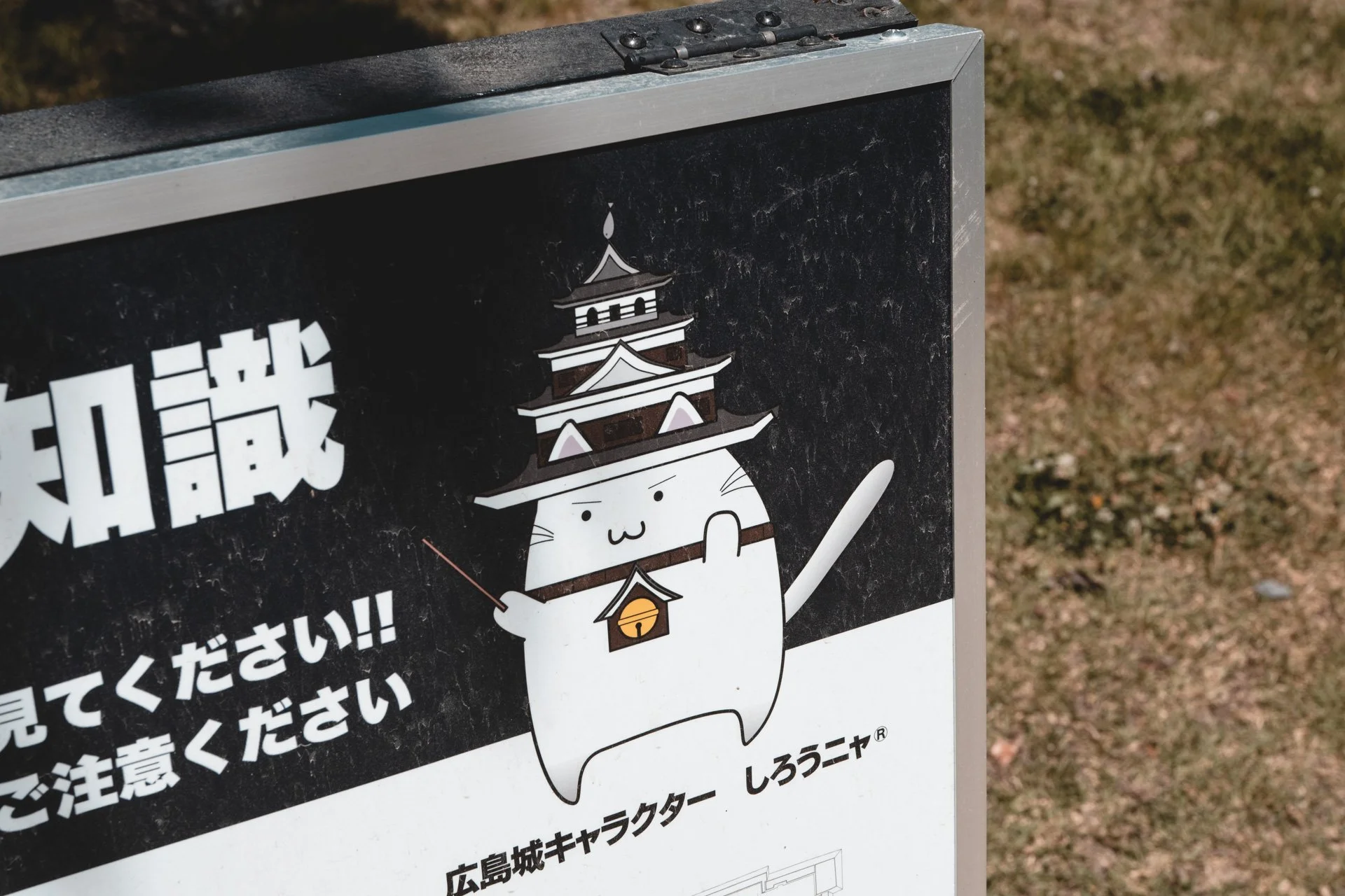 DSCF1194.jpg